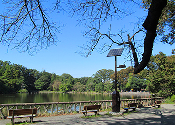 善福寺公園